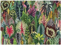 The houseplant jungle 1000 piece puzzle from galison is a lush and verdant puzzle from designer and photographer troy litten that celebrates the beauty and diversity of richly patterned, uniquely shaped, and surprisingly colourful. Galison Houseplant Jungle 1000pc Jigsaw Puzzle Best Range Of Puzzles Adults