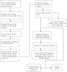 Honey Bee Operating Steps Honey Bee Producer Guide To The