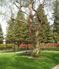 Search 71 apartments for rent with 1 bedroom in fresno, california. Fresno Ca Section 8 Housing Voucher Rentalhousingdeals Com