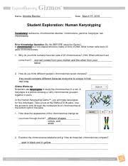 We did not find results for: Humankaryotypingse Pdf Amanda Ortiz P 4 Name D D Date Student Exploration Human Karyotyping Vocabulary Autosome Chromosomal Disorder Chromosome Genome Course Hero