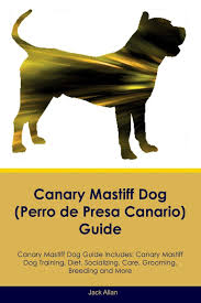 canary mastiff dog perro de presa canario guide canary