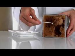 Molecular Gastronomy Frozen Chocolate Wind Vent Glace Au Chocolat Molecular Gastronomy Gastronomy Food Molecular Gastronomy Dessert