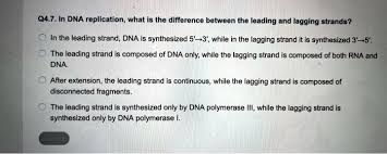 Leading & Lagging Strand Synthesis