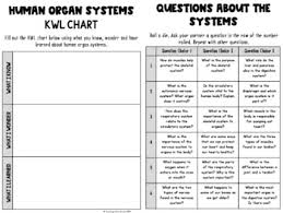 Exploring Human Organ Systems Flipbook Packet