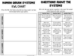 exploring human organ systems flipbook packet