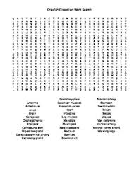 Complete the virtual or physical crayfish dissection. Crayfish Dissection Word Search By Everything Science And Beyond