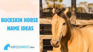 Image result for Light Buckskin 1989 Colt