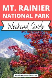Top Things To Do In Mount Rainier With Kids Marcie In Mommyland In 2020 National Parks National Parks Trip Rainier National Park