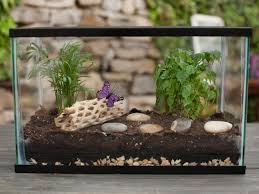 Check spelling or type a new query. How To Make A Terrarium How Tos Diy