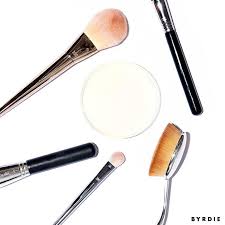 makeup brushes for bacteria