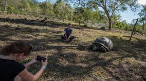 Discover galapagos offers unmatched galapagos cruises and galapagos tours available to anyone willing to take the trip of their lifetime. Family Land Galapagos Multi Activities In Galapagos Islands South America G Adventures