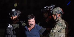 Federal court thursday that she was the good wife who kept running the family business — conspiring to distribute heroin, cocaine, marijuana and meth along with money laundering — after her husband was sentenced to life plus 30 years. Drogenboss El Chapo Soll Vom Gefangnis Aus Ein Modelabel Starten Business Insider