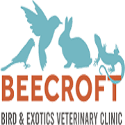 Dr katre pet clinic is known for housing experienced veterinarians. Birdvet Singapore Highest Quality Of Veterinary Care And Is Fueled By The Love Towards Exotic Animals Singapore Siachen