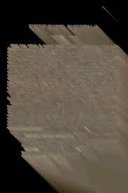 Image result for Cyphia gamopetala