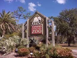 Lowry Park Zoo Tampa Fl Places In Florida Tampa Zoo Florida Travel Guide