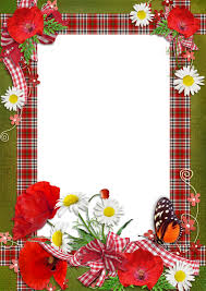 E029a07e Png 566 800 Flower Frame Photo Frame Design Flower Pictures
