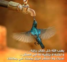 افضل صيغ الاستغفار للرزق ادعية الاستغفار ادعية الاستغفار للرزق ادعية الرزق Animals