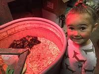 Horseshu Guest Ranch