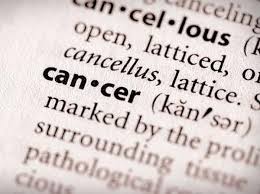 Tumor fibroid mungkin tidak berbahaya, tetapi akan kurang enak dilihat bila jumlahnya lebih dari satu. Studi Kelebihan Estrogen Dan Testosteron Bisa Sebabkan Tumor Rahim