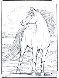 Thus, buy your children some. /> Horse For Children Beautiful Horse Horses Kids Coloring Pages