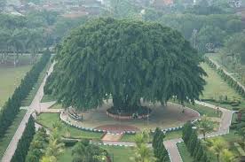 Di mana mencerminkan kesatuan dan kesatuan indonesia. Tamat Sudah Riwayat Pohon Beringin 141 Tahun Di Alun Alun Lumajang Nusa Daily