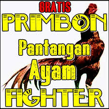 Trik menang ayam aduan menurut primbon jawa sebuah hari untuk laga ayam aduan mempunyai kekuatan dan keberuntung masing masing jika di kaitkan dengan tanggal jawa. Primbon Ayam Aduan Hari Baik Dan Pantangan Lengkap For Android Apk Download