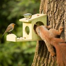 Eichhornchen Futterhaus Zum Hangen Relaxdays Eichhornchen Futterhaus Futterhaus Eichhornchen