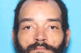 Multiple agencies assist in largest methamphetamine seizure in W.Va. history