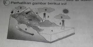 Pangan yang dikonsumsi manusia sebagian besar adalah hasil pertanian dan hewan. Peristiwa Penguapan Evporasi Ditunjukkan Oleh Gambar Nomor Kak Tolong Jawab Ya Brainly Co Id