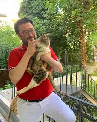 Cihangir Kedileri Kedi Cats Istanbul