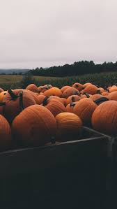 Pin Van Caliieah Op Iphone 6s Wallpaper Herfst Fotografie Fotocollage Muren Achtergronden