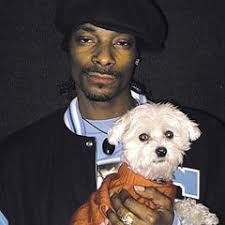 Stream jack mastro music