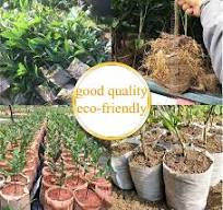 Different Sizes Biodegradable Non-woven Nursery Bags Plant Grow Bags Fabric  Seedling Pots Eco-Friendly Aeration Planting Bags - AliExpress 15