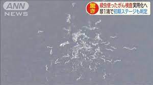ボード 病気の色々 のピン
