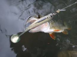 Comment choisir son texan ? (partie 2)