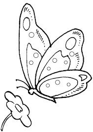 Additionally, you'll find each coloring page. Free Online Butterfly Colouring Pages Butterfly Coloring Page Butterfly Drawing Butterfly Template