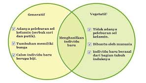  Gambar Bunga Generatif Manfaat Perkembangbiakan Generatif Mengenal Tanaman Suweg Yang Unik Si Bunga Bangkai Yang Bisa Pembiakan Gambar Gambar Bunga Bunga