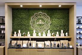 Saje Natural Wellness Natural Wellness Wellness All Natural