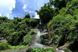 Search free 4k wallpapers on zedge and personalize your phone to suit you. Bangladeshi Wallpaper 4k Zip Download National Park Rantgamore India Bengali Tiger 4k Ultra Hd If You Have Your Own One Just Send Us The Image And We Will Show