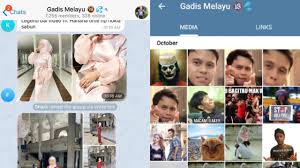 Article: Netizens are spamming a Malaysian telegram group that shared  pictures of women without their consent