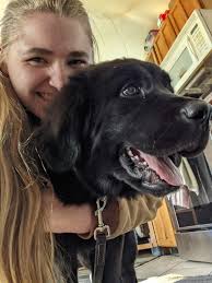 Certifying a therapy dog with Good Dog Certificate