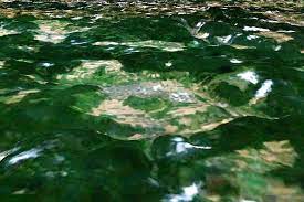 Eine aufschlussreiche ausstellung über die entstehung des steinheimer kraters vor ca. Steinheim Crater Wikipedia