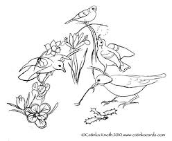 Flowers, butterflies and birds coloring page. Spring Birds Flowers Coloring Page Printable Pdf Wall Art Etsy