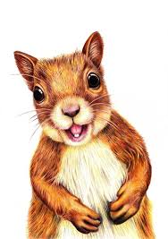 Seamus Says Hello Print By Margaret Sanderson Squirrel Illustration Cute Squirrel Squirrel Art