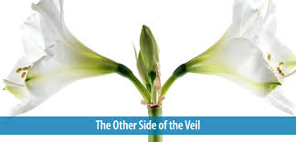 The Other Side Of The Veil Thoughts From A Master