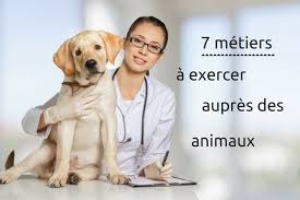 Découvrez 22 métiers pour les amoureux des animaux. Soigner Des Animaux Ces Metiers Qui Peuvent Vous Interesser
