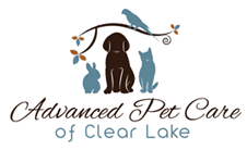 At advanced pet care of clear lake, we offer cat & dog boarding services, in addition to avian and exotic pets—all in separate wards. Veterinarian In Webster Tx Animal Hospital In Webster Tx