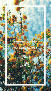 Pin By Jee On F A C T S Flowers Quotes Tumblr Flower Quotes Wallpaper Quotes