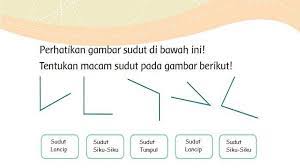 Berikut ini adalah pembahasan dan kunci jawaban matematika kelas 8 semester 1 halaman 64. Kunci Jawaban Kelas 3 Sd Tema 8 Halaman 28 29 35 36 38 39 40 41 45 46 49 50 51 Halaman All Tribunnews Com Mobile