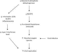 Image result for G6PD Deficiency